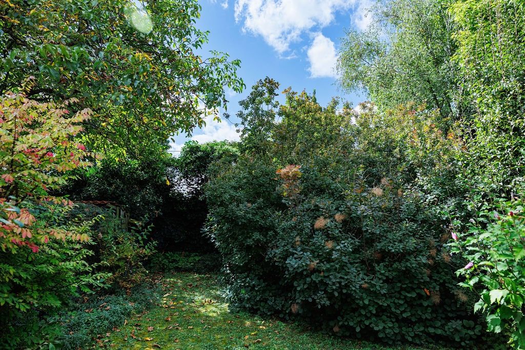 Objekt-ID 2135 Reihenmittelhaus, Garten